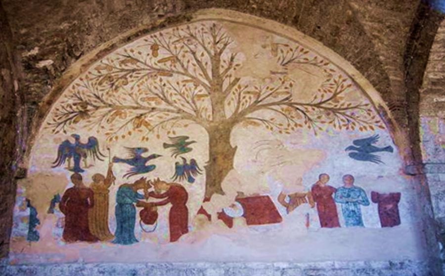 El árbol de los penes