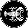 C&aacute;ncer
