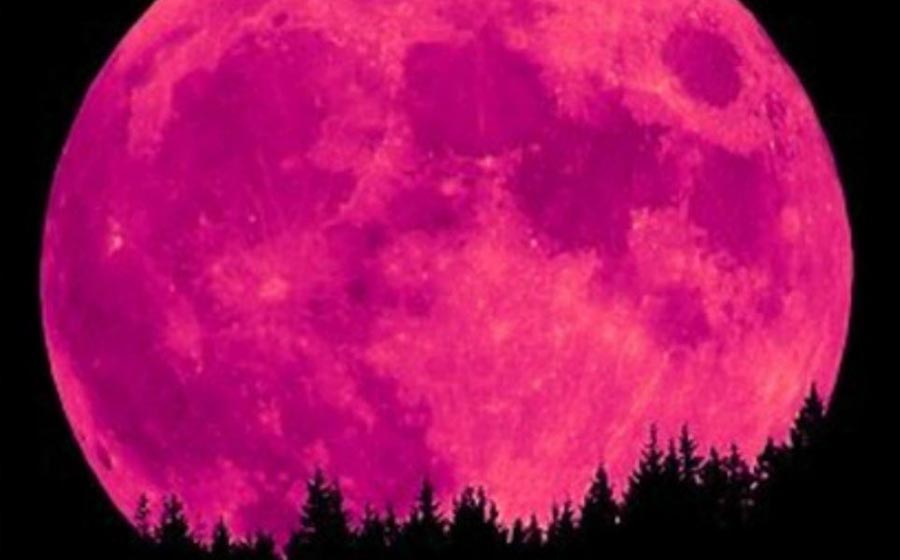 Luna Rosa